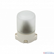 Светильник наст/потол прямой белый НББ 01-60-001 60W пластик/стекло 135х105х84 IP65 ЭРА