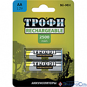 Аккумулятор ТРОФИ HR6-2BL (2500mAh)