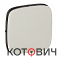 Панель лицевая для выключателя 1кл алюминий Valena Allure Leg 755007