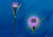 Светильник садов на солнеч батар USL-С-453/PT305 Purple Tulip бел IP44 UNIEL