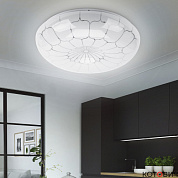 Светильник настенный LED 12W 4000K 820Lm SPB-6-12-4K Классик Паутина ЭРА