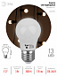 Лампа  для белт-лайт  E27  LED   3W  3000K  220V 13SMD ERAW50-E27  ЭРА