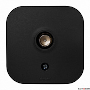 Розетка 1п о/у TV черный  "звезда" Quteo IP20 782478
