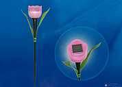 Светильник садов на солнеч батар USL-С-451/PT305 Pink Tulip бел IP44 UNIEL