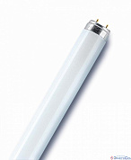Лампа  G13  T8  люминесцентная  18W  600mm  6500К  смол. OSRAM 4008321959669
