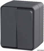Выключатель 2кл о/у антрацит IP54 AtlasDesign Profi54 ATN544051