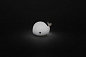Светильник ночник LED Кит NLED-411-1W-W белый ЭРА