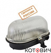 Светильник НБП 02-60-030 (ПСХ-60) черный 60W Е27 IP54 TDM
