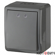 Выключатель 1кл о/у серый IP54 Эра 