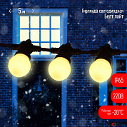 Гирлянда Белт-лайт набор  5 м, 15 LED (шаг 30 см), тепл.свет, 220 В,кауч ERABL-WS5, ЭРА