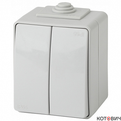 Выключатель 2кл серый IP65 Эра Эксперт